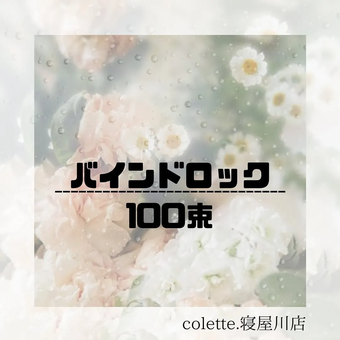 バインドロック100束🩵