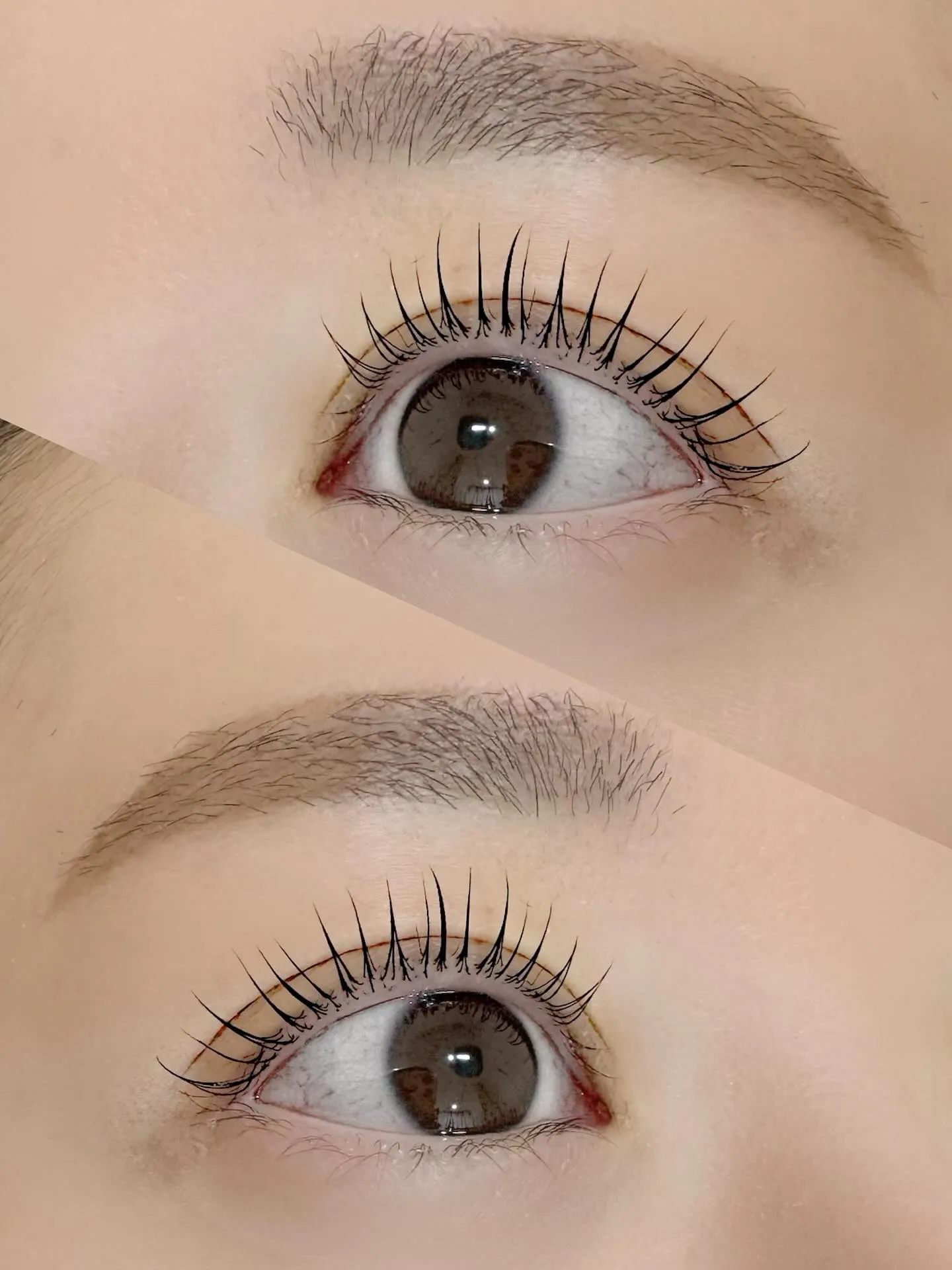 ラッシュリフト&アイブロウワックス🫶✨