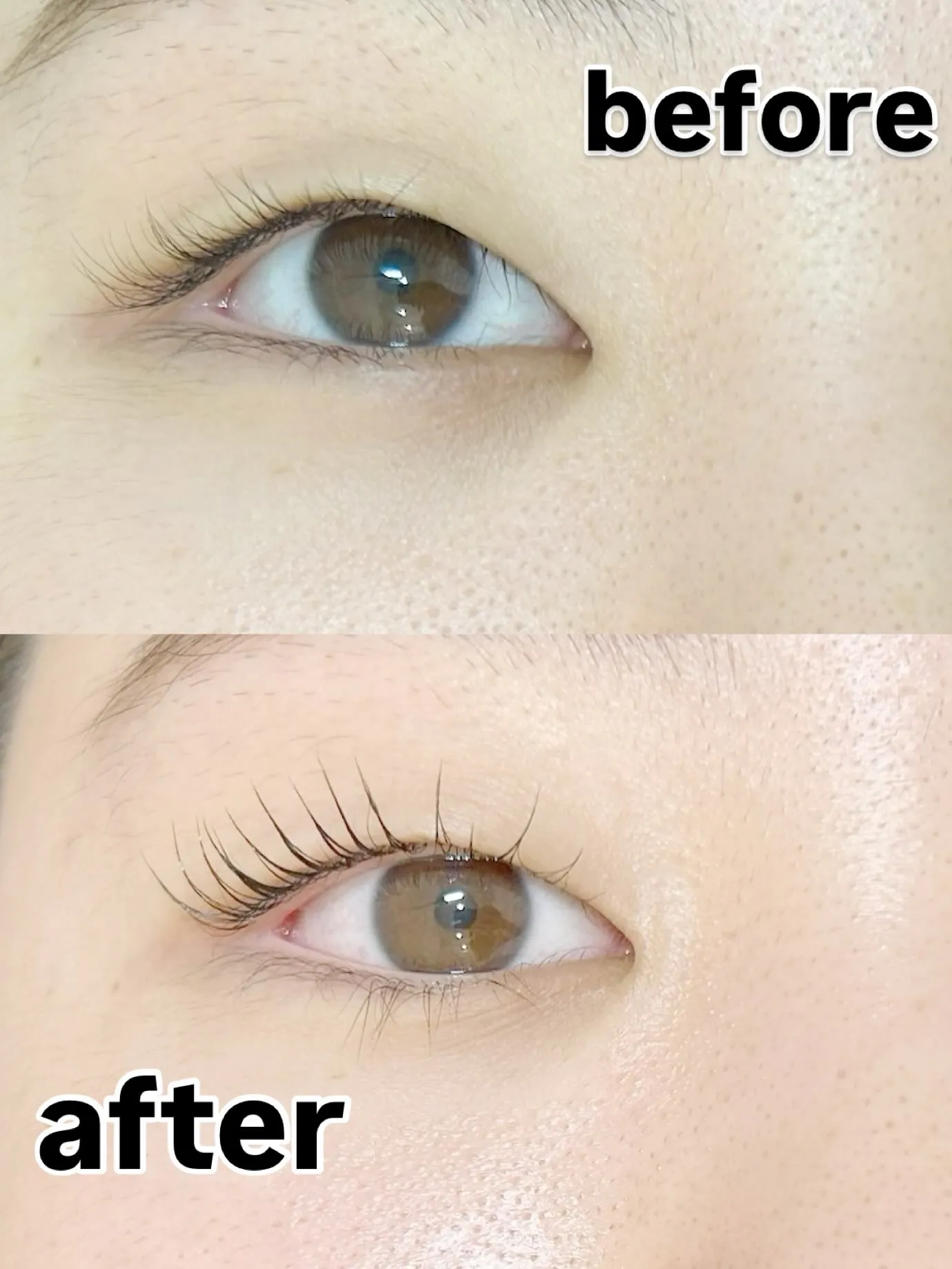 ✨️ラッシュリフト✨️