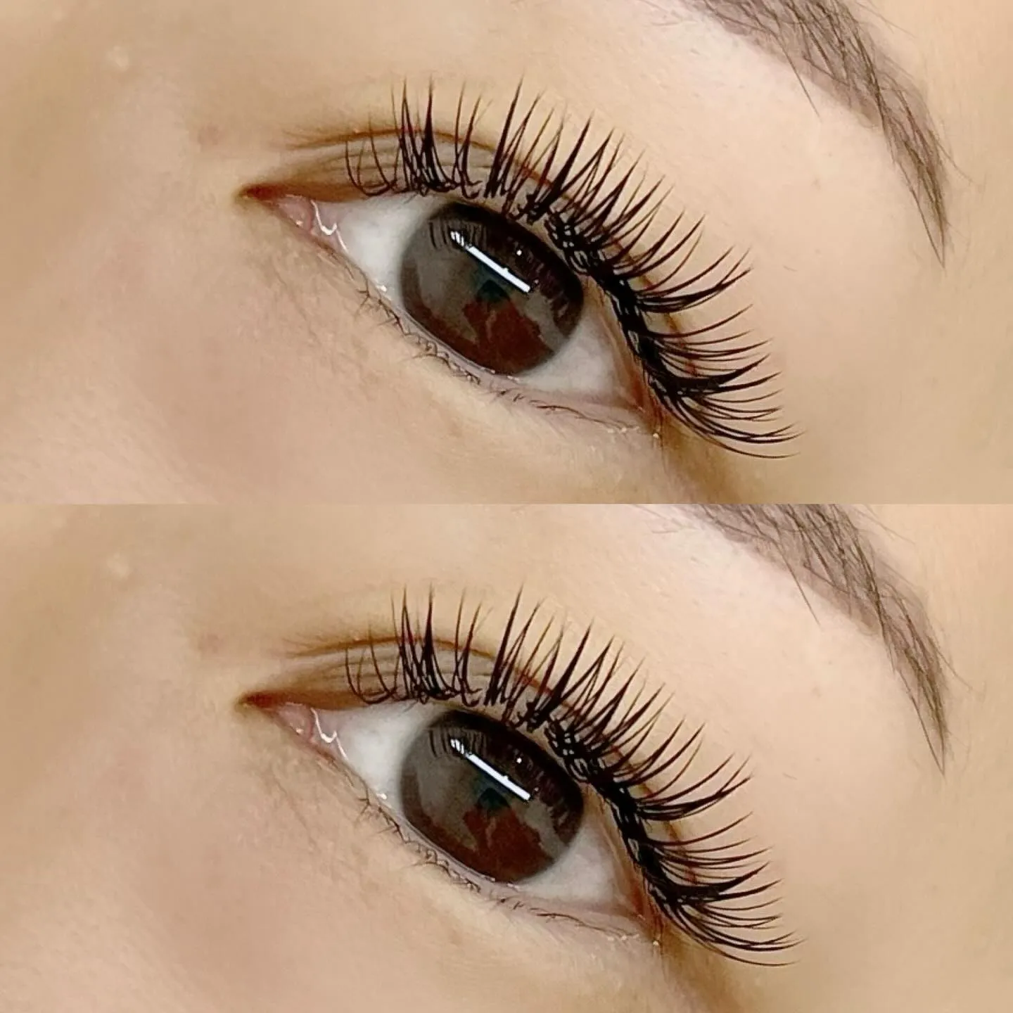 バインドロック140束⭐️