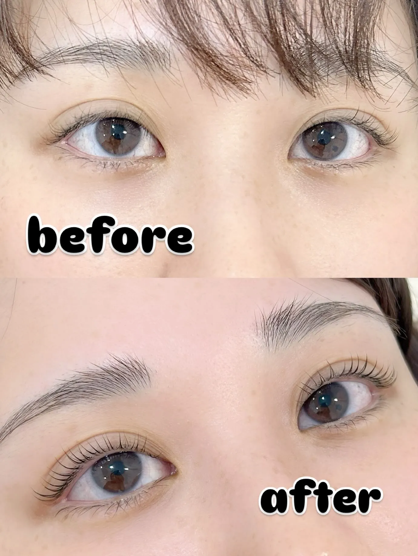 ✨️ラッシュリフト✨️