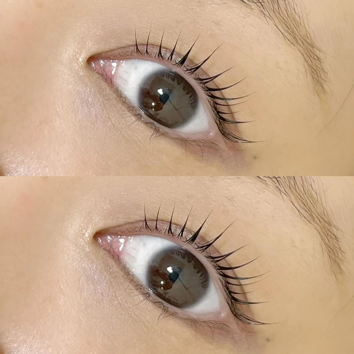 ラッシュリフト🧡立ち上げカールデザイン