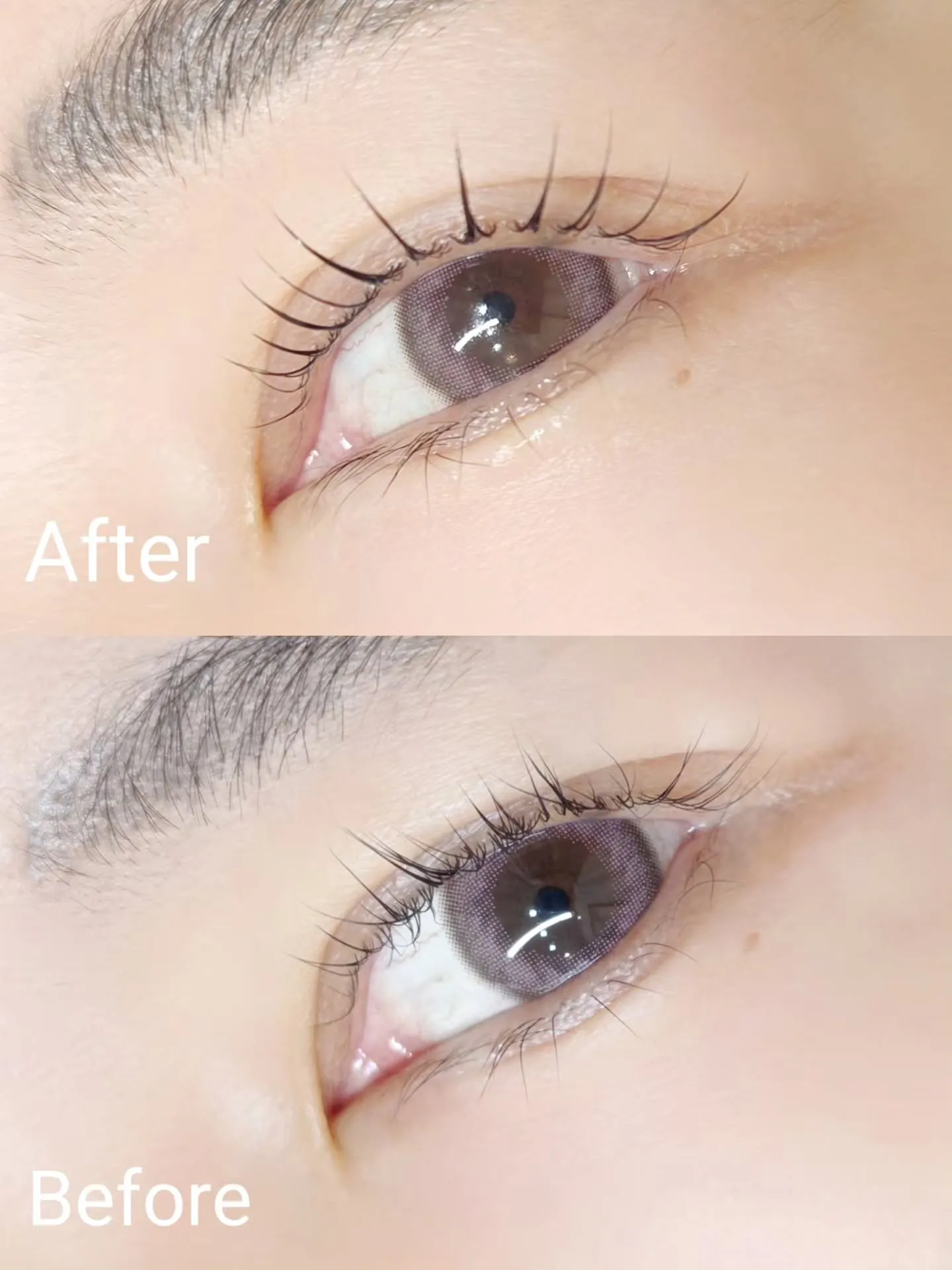 𖤐′-シェルロット🩷