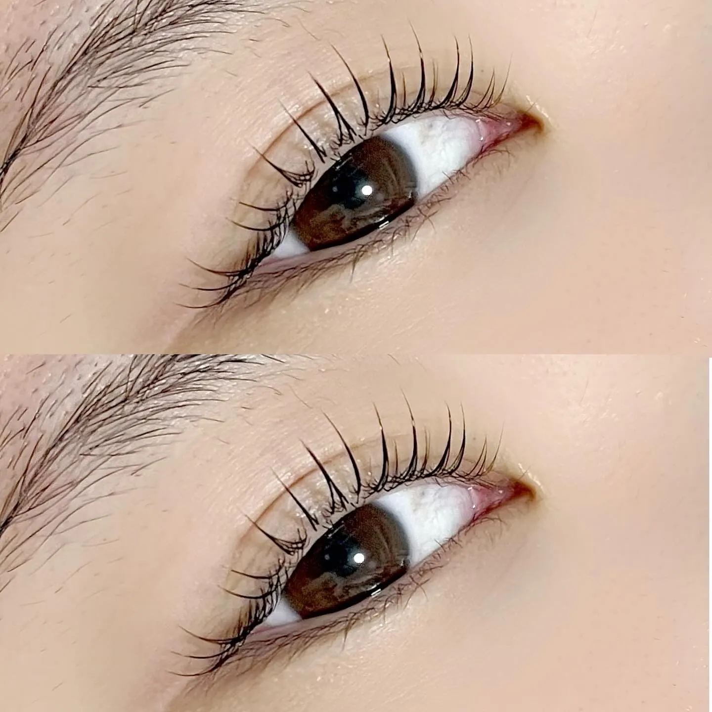 ラッシュリフト🧡