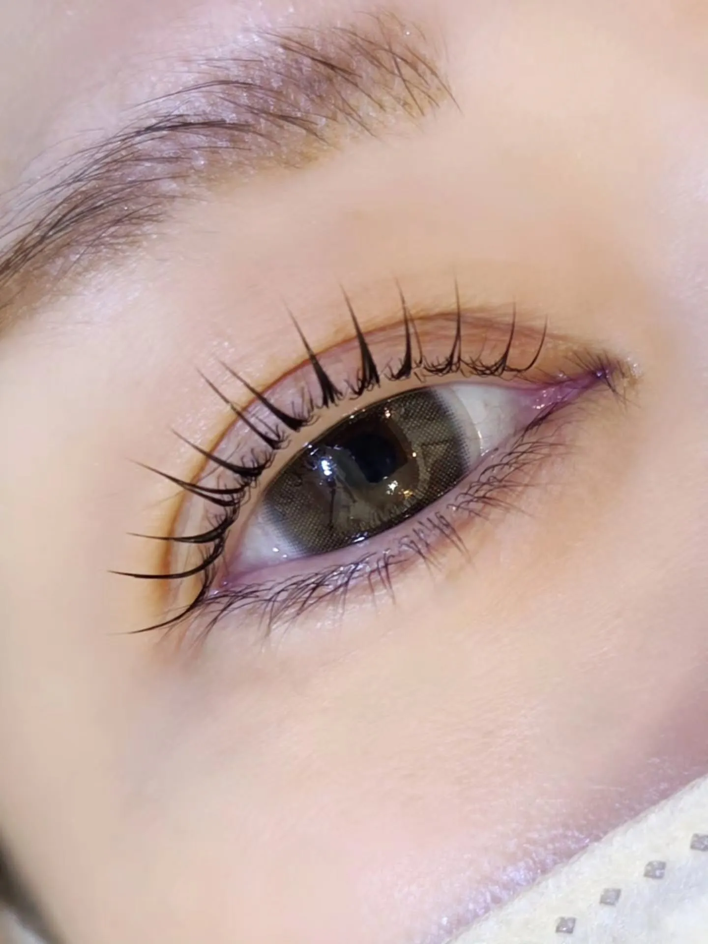 𖤐′-ピンクロット🩷