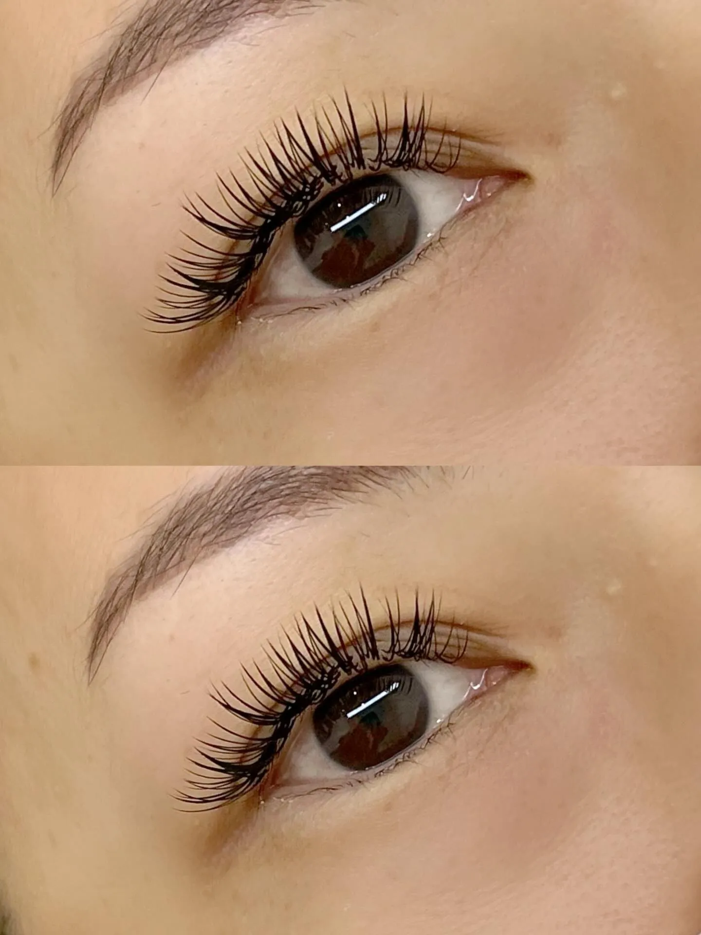 バインドロック140束🌼