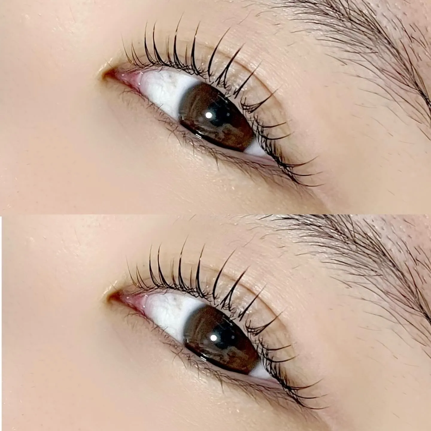 ラッシュリフト🧡立ち上げカールデザイン