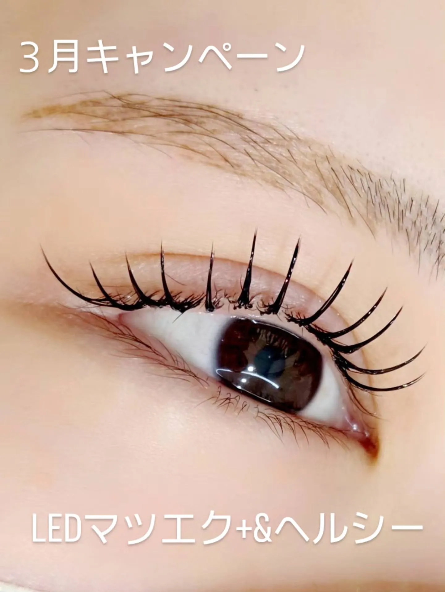 🎓3月キャンペーンのお知らせ🎓