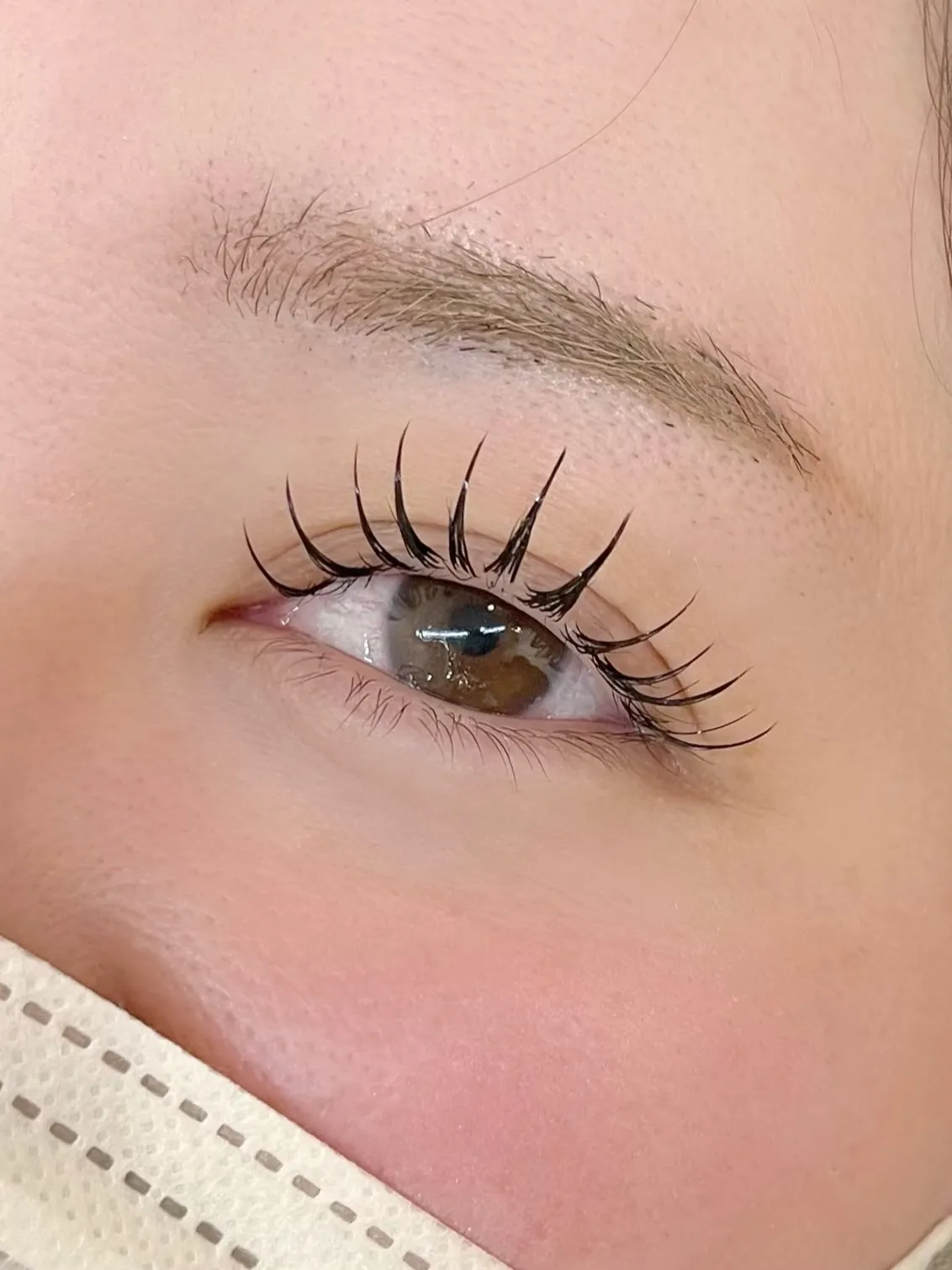 LEDマツエク120本+&Healthy🧡