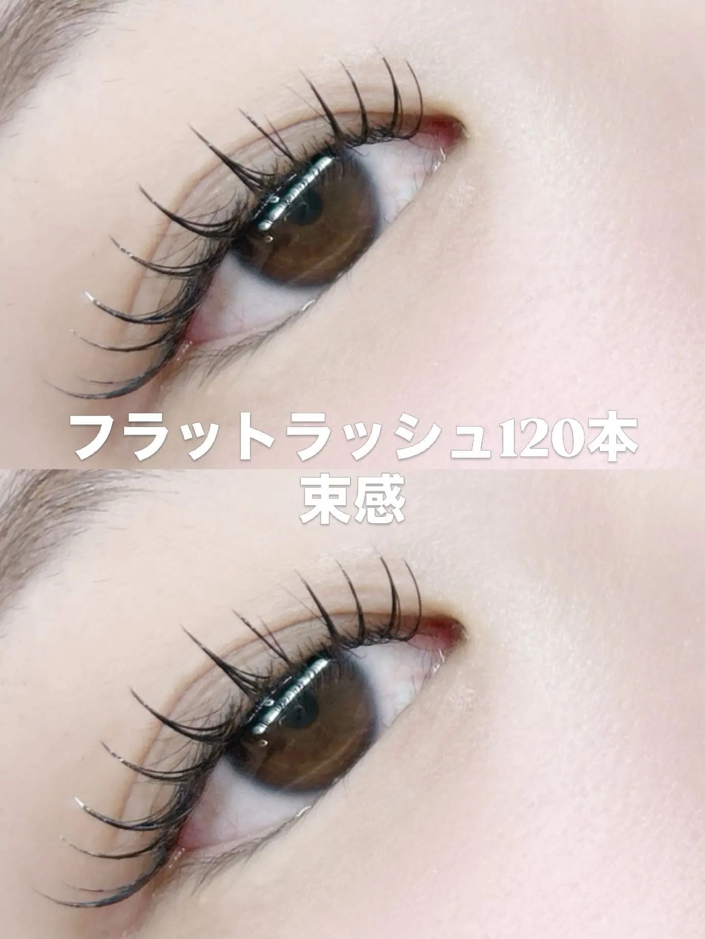 ✨️ フラットラッシュ ✨️