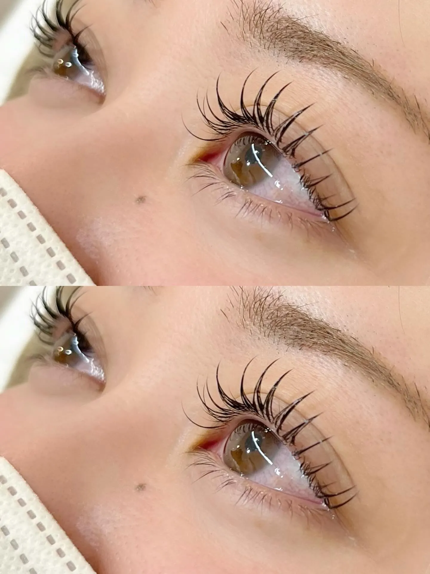 LED120本×&Healthy🧡