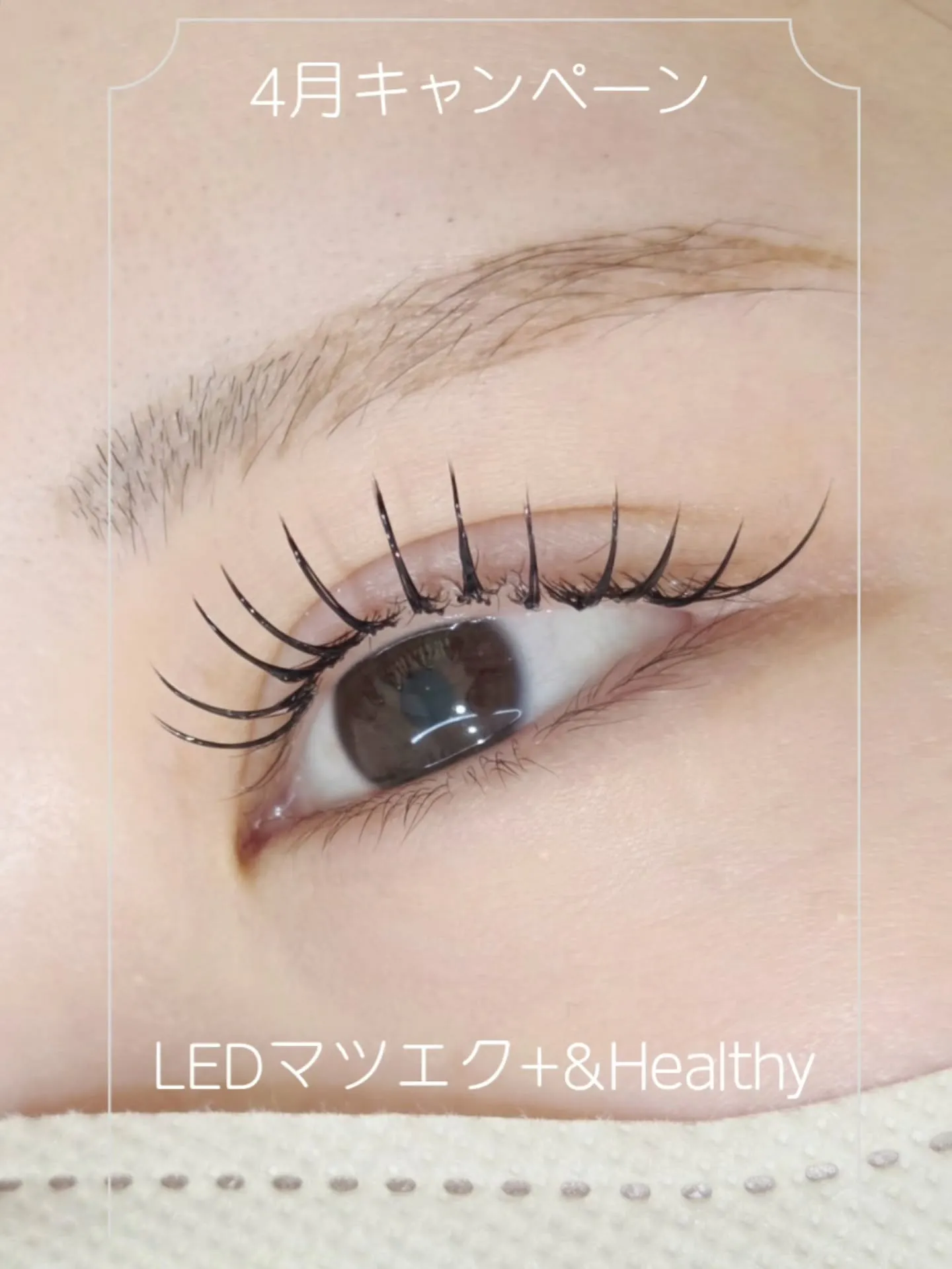 4月もキャンペーン継続🌸