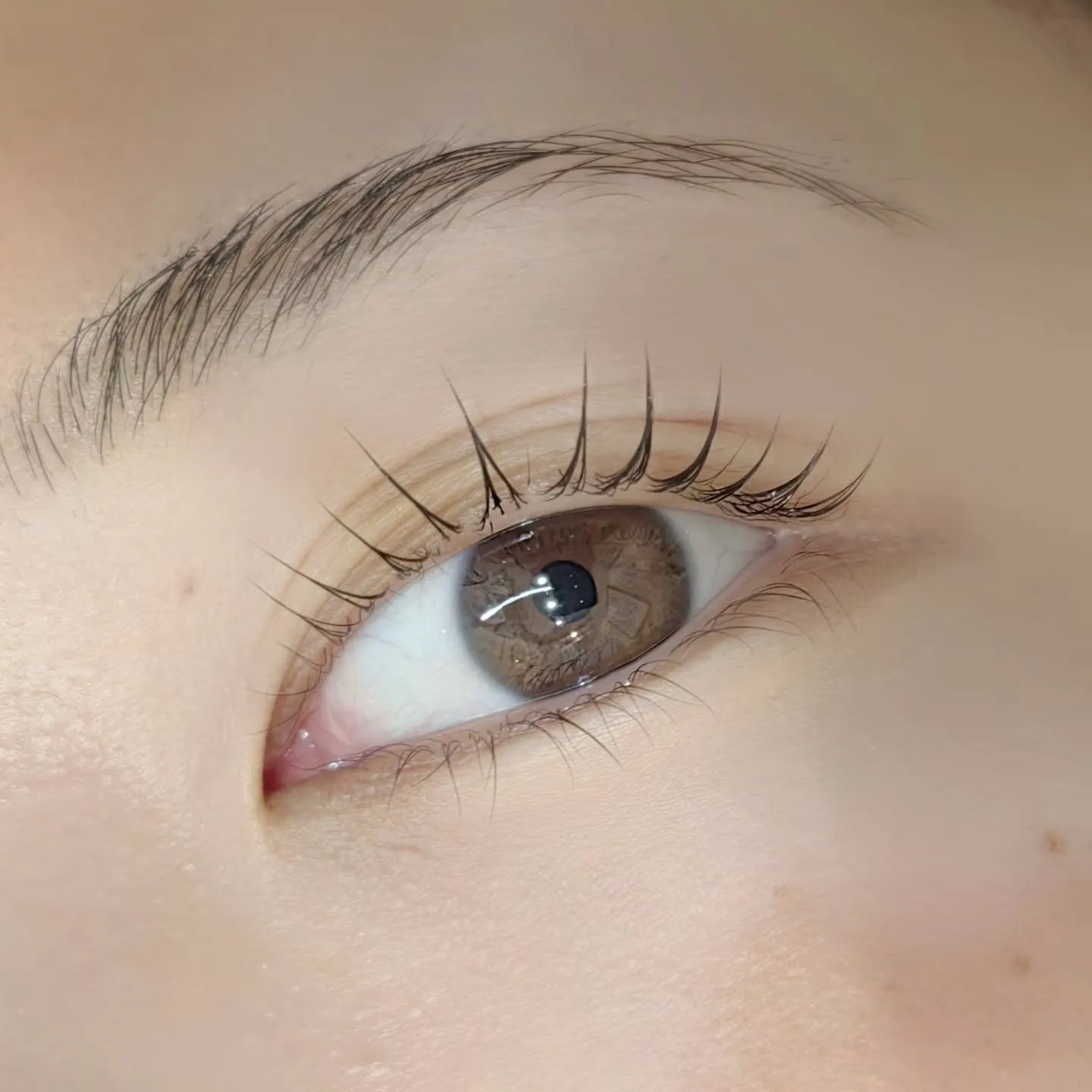 𖤐′-ペッタビック