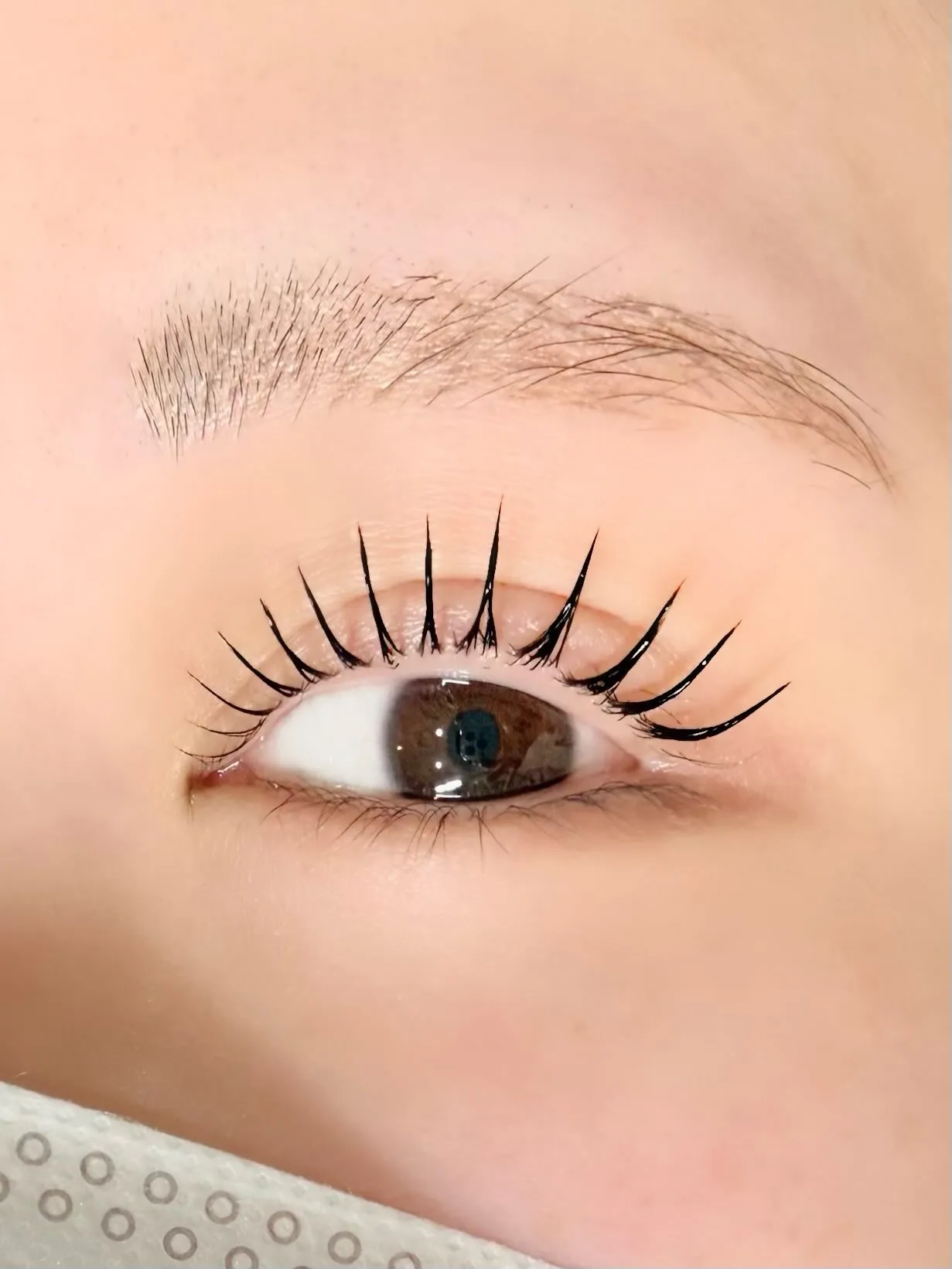 ラッシュリフト💕