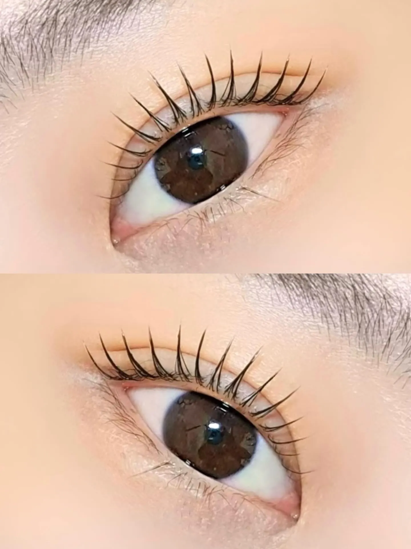 ラッシュリフト💕