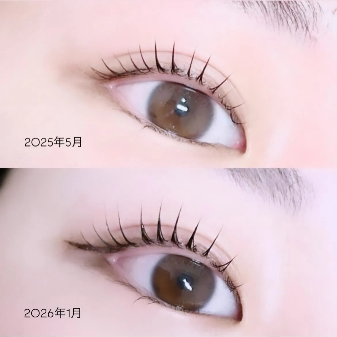 まつげ美容液の重要性✦.°