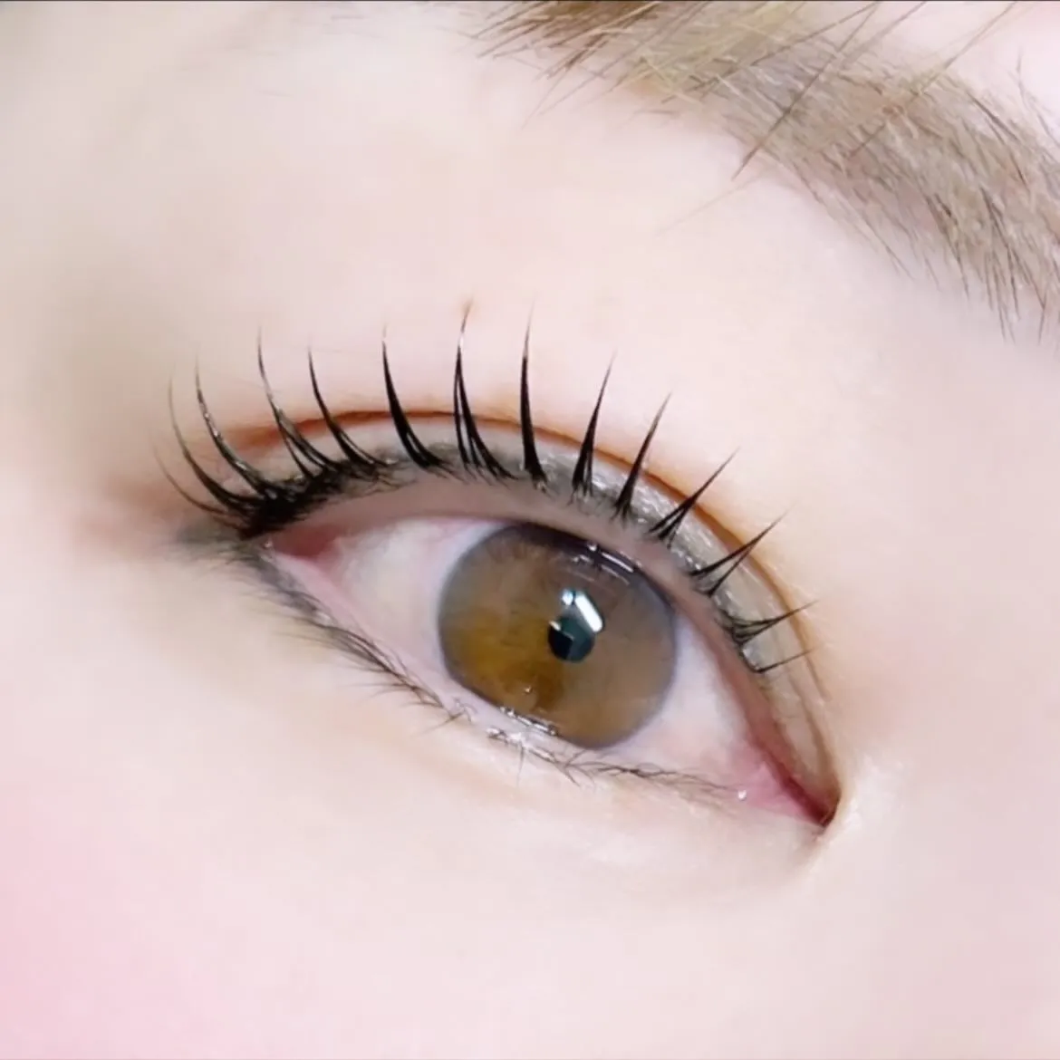 ラッシュリフト✦.°