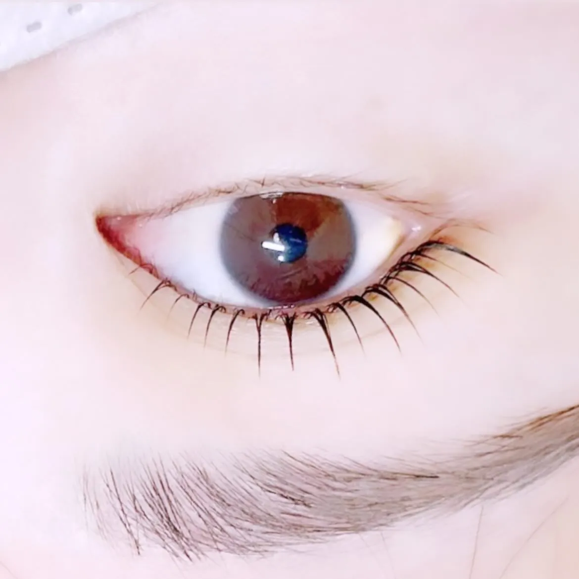 ラッシュリフト✦.°