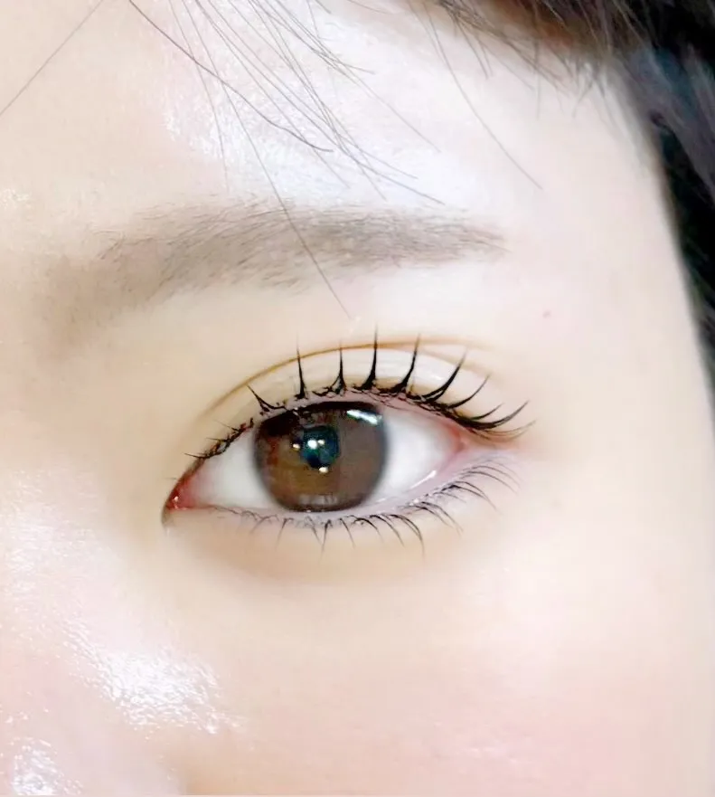 上下ラッシュリフト🤍