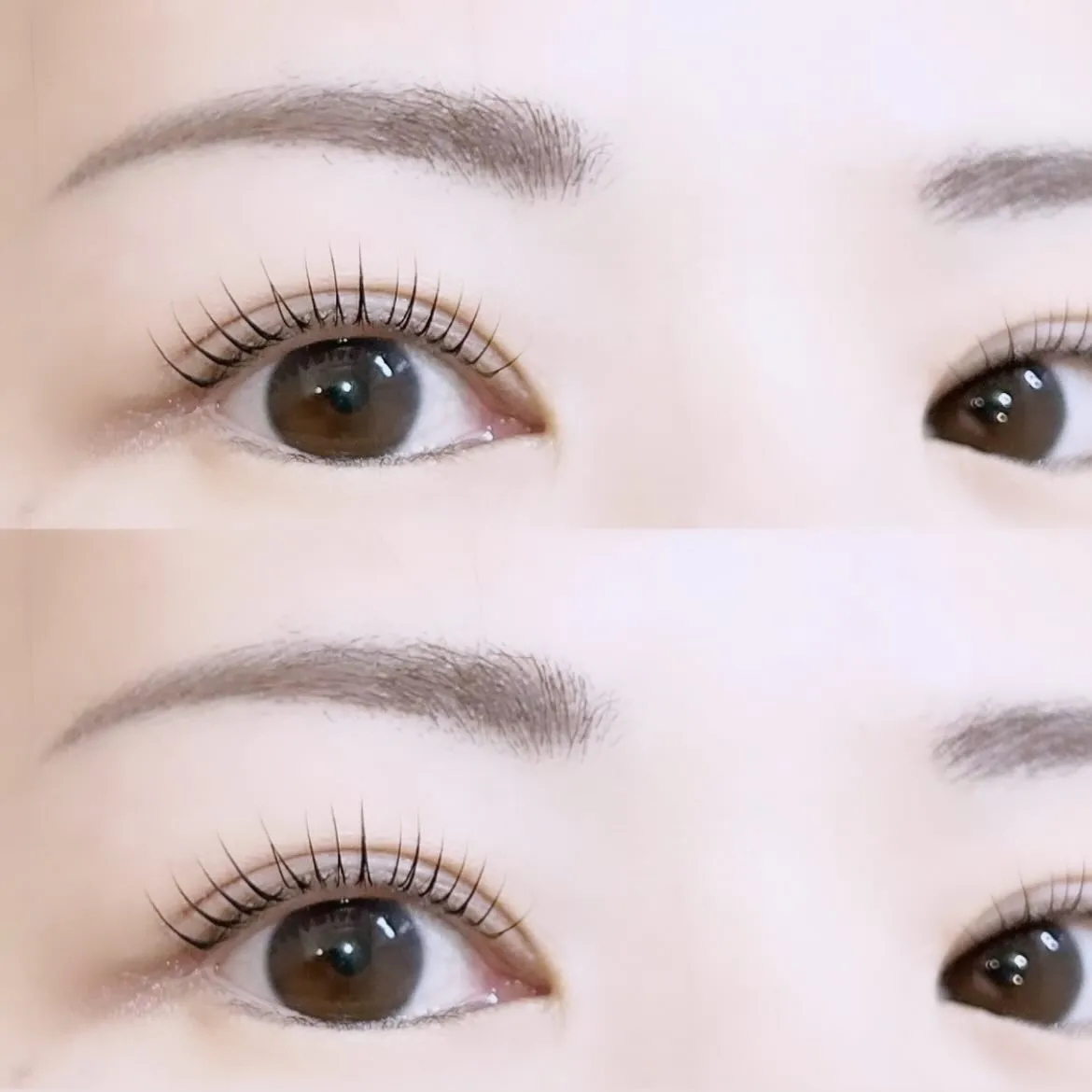 ラッシュリフト✦.°