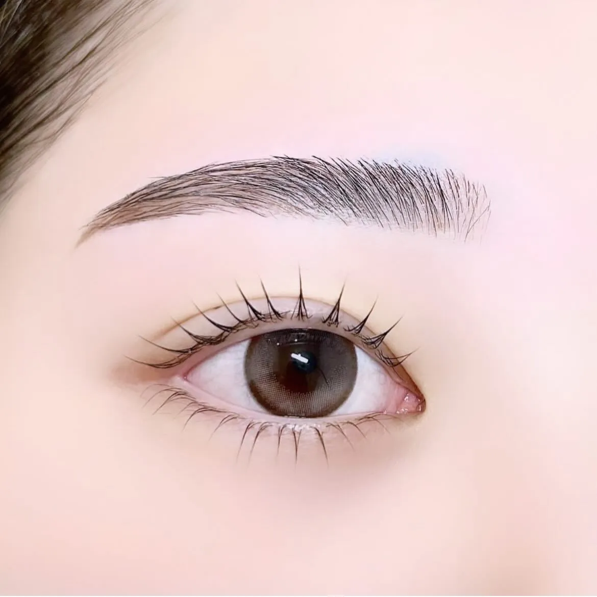 上下ラッシュリフト+美眉スタイリング✦.°