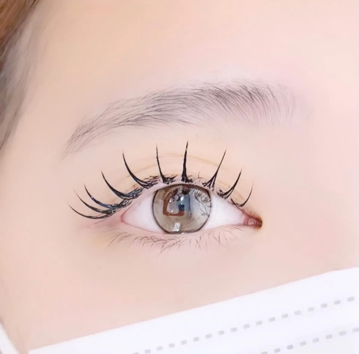 フラットラッシュ120本＆ヘルシー🤍