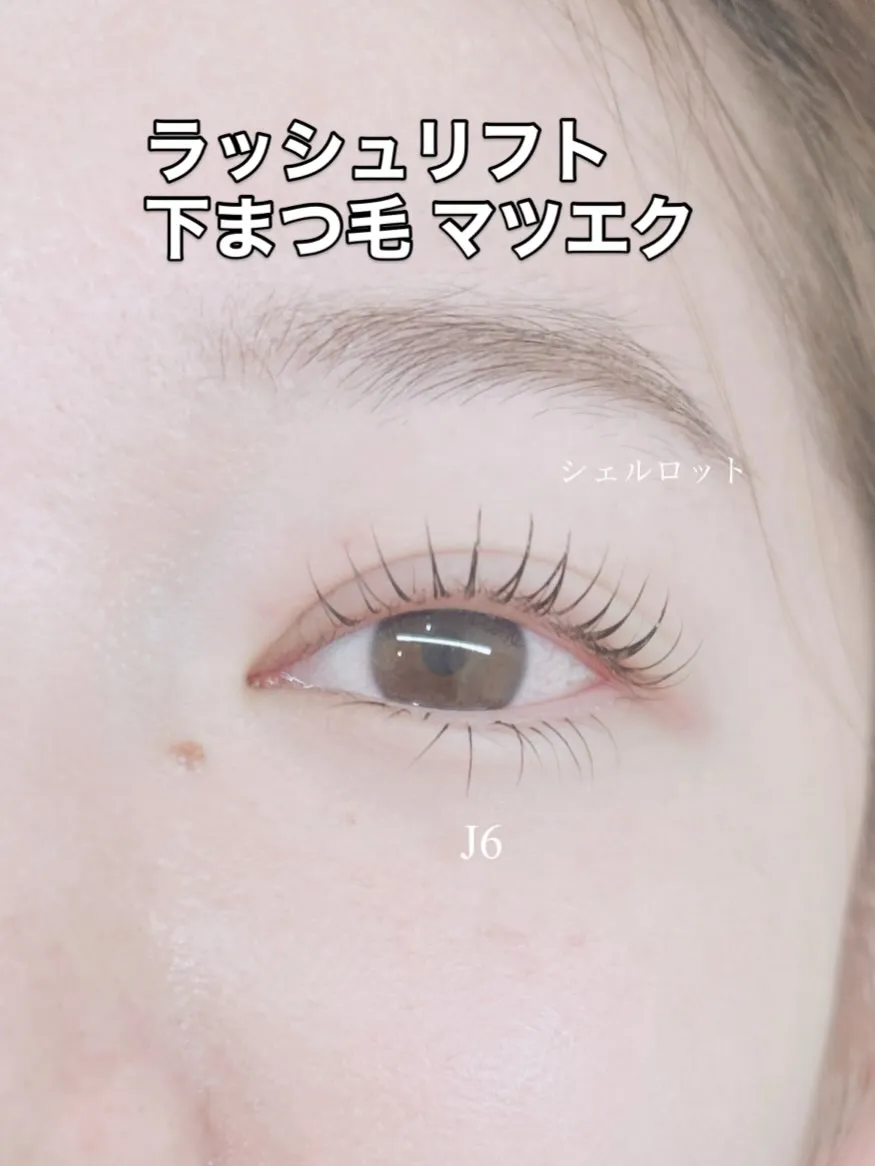 ✨️ ラッシュリフトと下まつ毛エクステ ✨️
