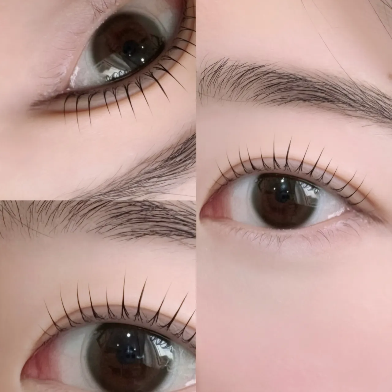 ラッシュリフト🫧