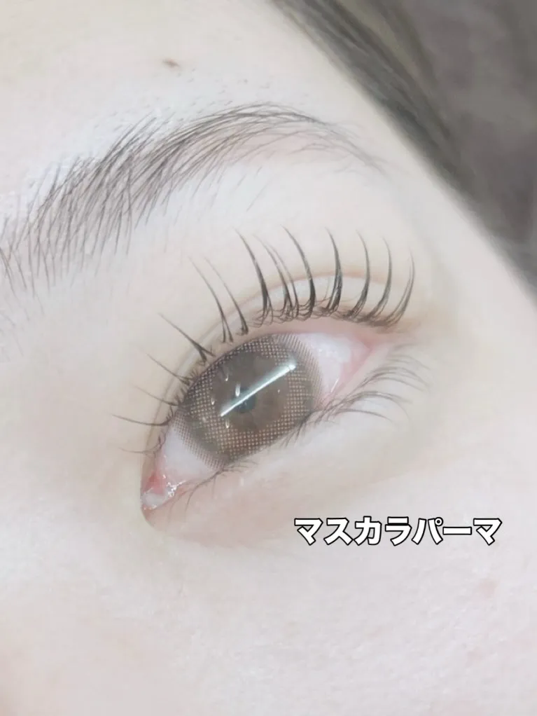 ✨️ マスカラパーマ ✨️